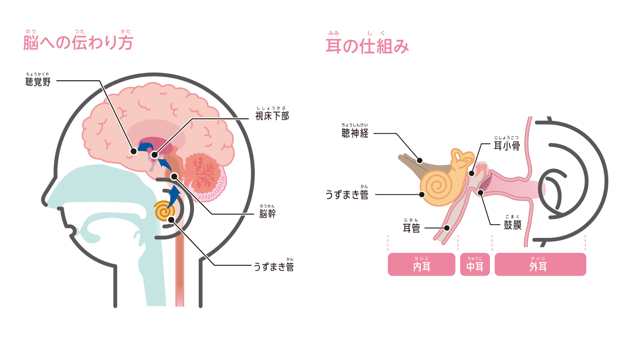 サウンドもぐらたたき