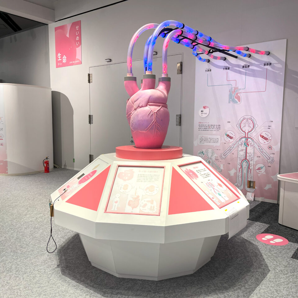 臓器ステーション